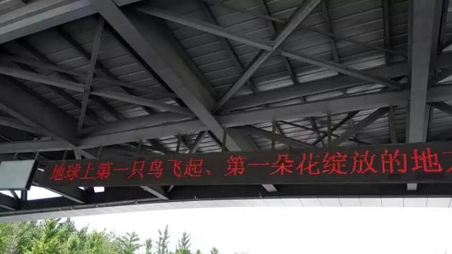 世界上第一朵花綻放的地方,第一只鳥飛起的地方